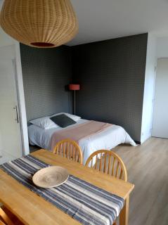 Studio et parking acces direct Nantes - Rezé - 3