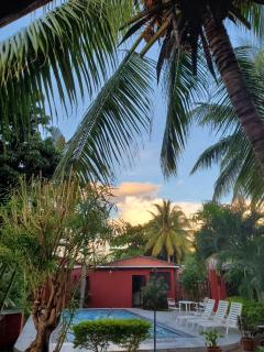 Bungalow chez Mouch Nosy-Be 4 - Nosy Be - 8