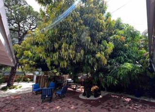 Ocean Oasis Studio *5 min to beach* - Fort Lauderdale - 2