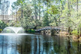 Cassine Gardens 189 - Santa Rosa Beach - 5