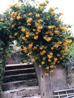 Ma demeure - Le Gué-de-Longroi - 3