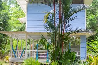 Jungle Dreamz - Manzanillo - 7