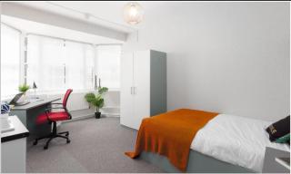 Spacious room with shared facilities - Londra - 8