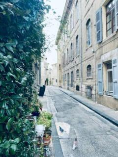 LE BLEUET - au coeur de Valence - 5