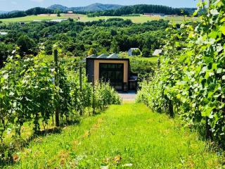 Domaine Bless - Niki - 7