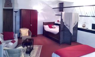 Studio confortable à Thilouze de 55 m² avec jardin privatif - Thilouze - 3