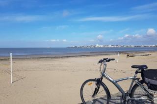 Ambiance bord de mer - Saint-Georges-de-Didonne - 5