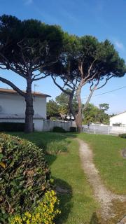 Ambiance bord de mer - Saint-Georges-de-Didonne - 4