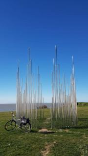 Ambiance bord de mer - Saint-Georges-de-Didonne - 3
