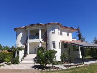 Bright New Garden - Chaniotis - 0