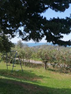 Monica appartamenti - San Vincenzo - 6