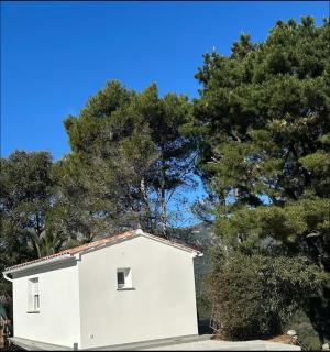 Villa Sampiero - Sarrola-Carcopino - 9