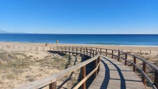 Arenales Sea View Apartment - Arenales del Sol - 5