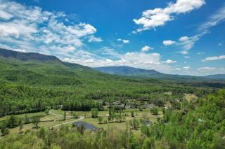 Access to 3 pools & pickleball! View! Shuffleboard! Arcade! Hot Tub! - Gatlinburg - 5