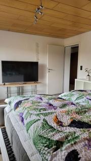 Apartment Schwarzwaldmädel - Friedenweiler - 2