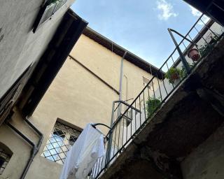 Palm House - Verona - 7