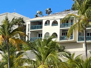 St Thomas -Spectacular Views of St John- Ocean Front! - St Thomas - 9