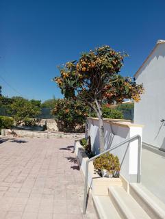 Villa IGMA - Syracuse - 6