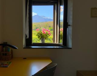 Tenuta Kiwi dell’Etna - Milo - 3