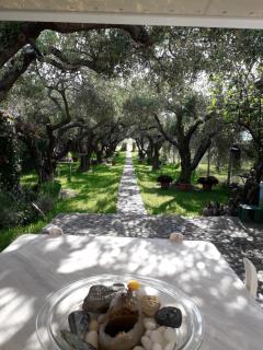 POTIDAIA BEACH HOUSE - 3