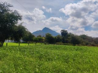 ARUNACHALA HOUSES - Tiruvannāmalai - 2