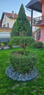 Guest House Lona - Golubac - 9