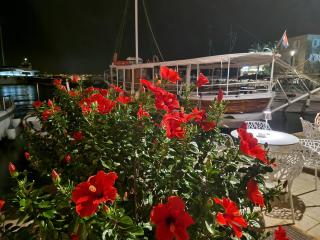 Apartman Stivanka - 6