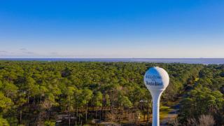 The Pearl of Dauphin Island - Dauphin Island - 3