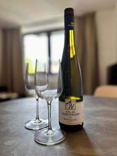 SPEYERBACH - modernes Apartment nahe Neustadter Innenstadt - Neustadt an der Weinstraße - 1