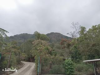 Casa Rebeca - Antón - 4