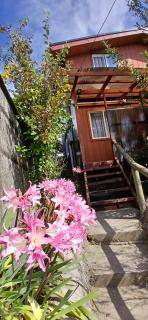 Cabañas Los Geranios - Osorno - 8