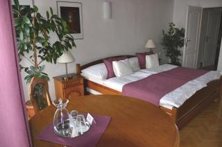 OREA Hotel Arigone Olomouc - 6