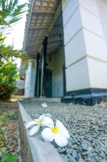 Villa 1925 - Habaraduwa - 8