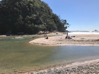 Beach holiday - private setting. - Whiritoa - 6