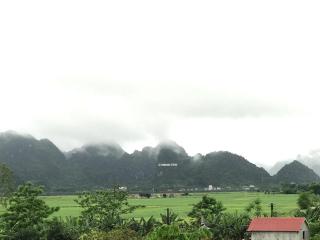 Happy field homestay Phong Nha - Phong Nha - 9