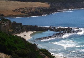 Waves & Wildlife Cottages Kangaroo Island - Stokes Bay - 1