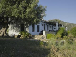 Spectacular Country Retreat - Mijas - 9