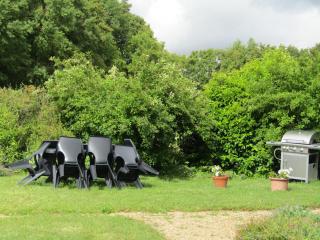 Gîte familial avec grand jardin, près des Châteaux de la Loire et activités nautiques - FR-1-381-494 - Channay-sur-Lathan - 2