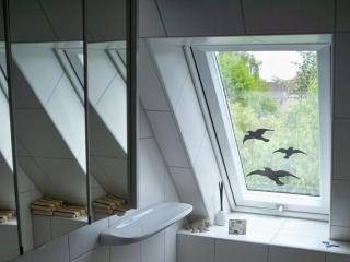 Jessen Modern retreat - Gelting - 4