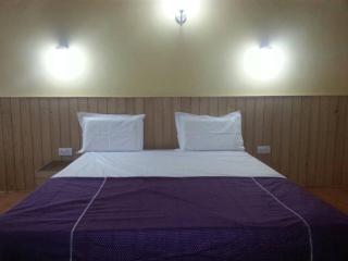 Hotel Raj - Durgjan - 7