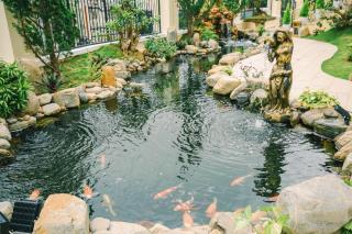 Da Tuong Luxury Villa Hotel - Da Lat - 5
