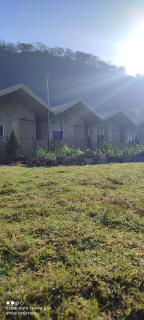 The Jungle Mist Resort - Rishīkesh - 4