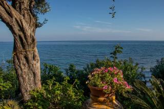 Beachfront Romantica place First floor - 1