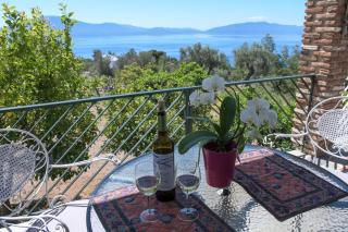 Nerotrivia Villa - Ocean Panorama and Lush Gardens - Nerotriviá - 3