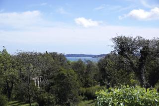 Les Bastides 3028 - Grimaud - 3