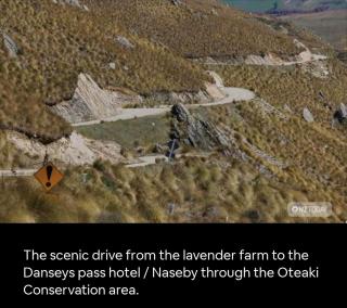 Danseys Pass Lavender Farm - Tokarahi - 2