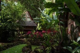 Roots Tree House - Uluwatu - 8