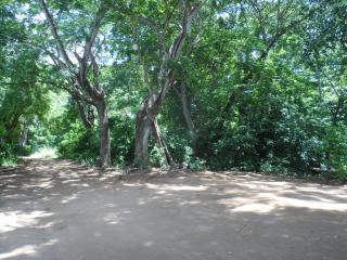 Victoria Guest House and Cottages - 2