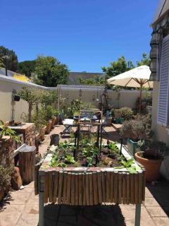 Happy home in Constantia - Cidade Do Cabo - 3