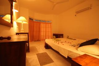 Laluna Ayurveda Resort - Bentota - 7